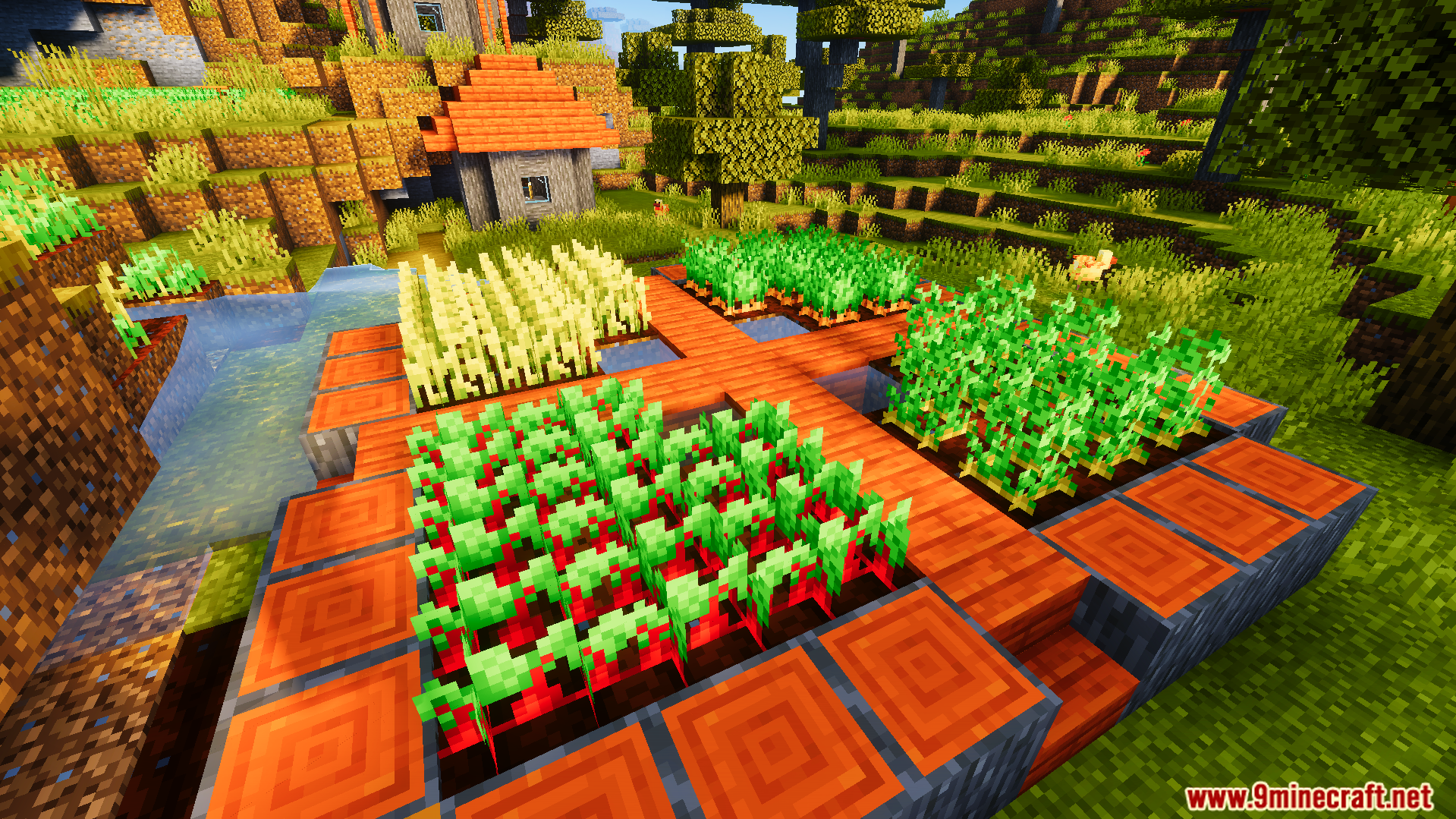 Ready Crops Plus Texture Pack Screenshot 5 Ready Crops Plus Texture Pack adds a glowing animation to fully grown plants
