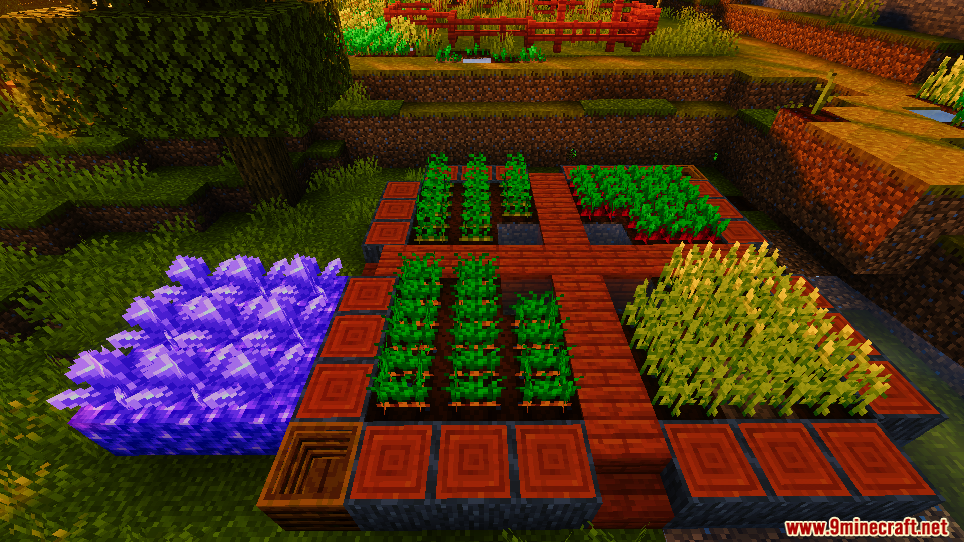 Ready Crops Plus Texture Pack Screenshot 8 Ready Crops Plus Texture Pack adds a glowing animation to fully grown plants