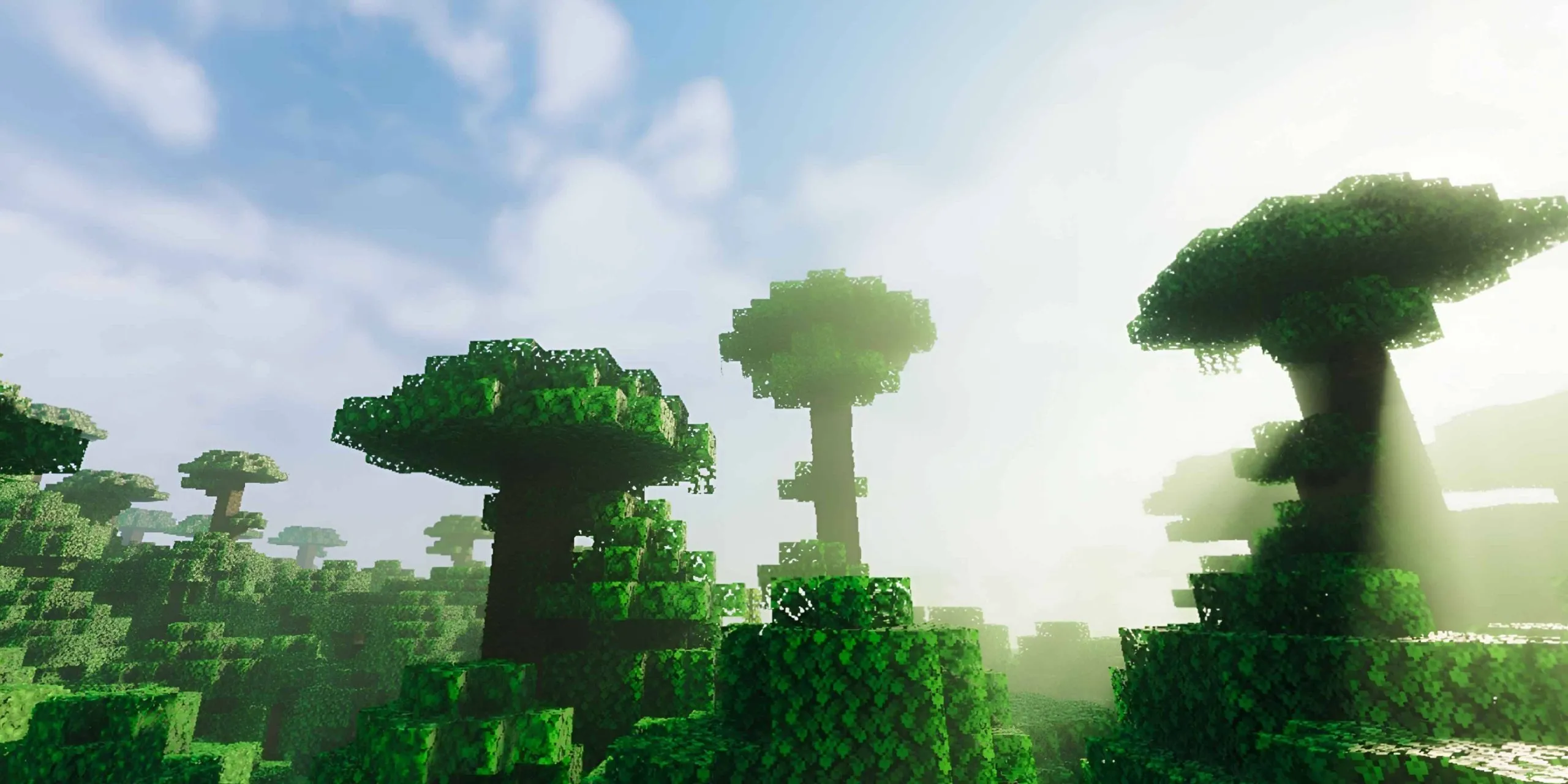 Revolution Vibrant Visuals Shader (1.21) – MCPE/Bedrock