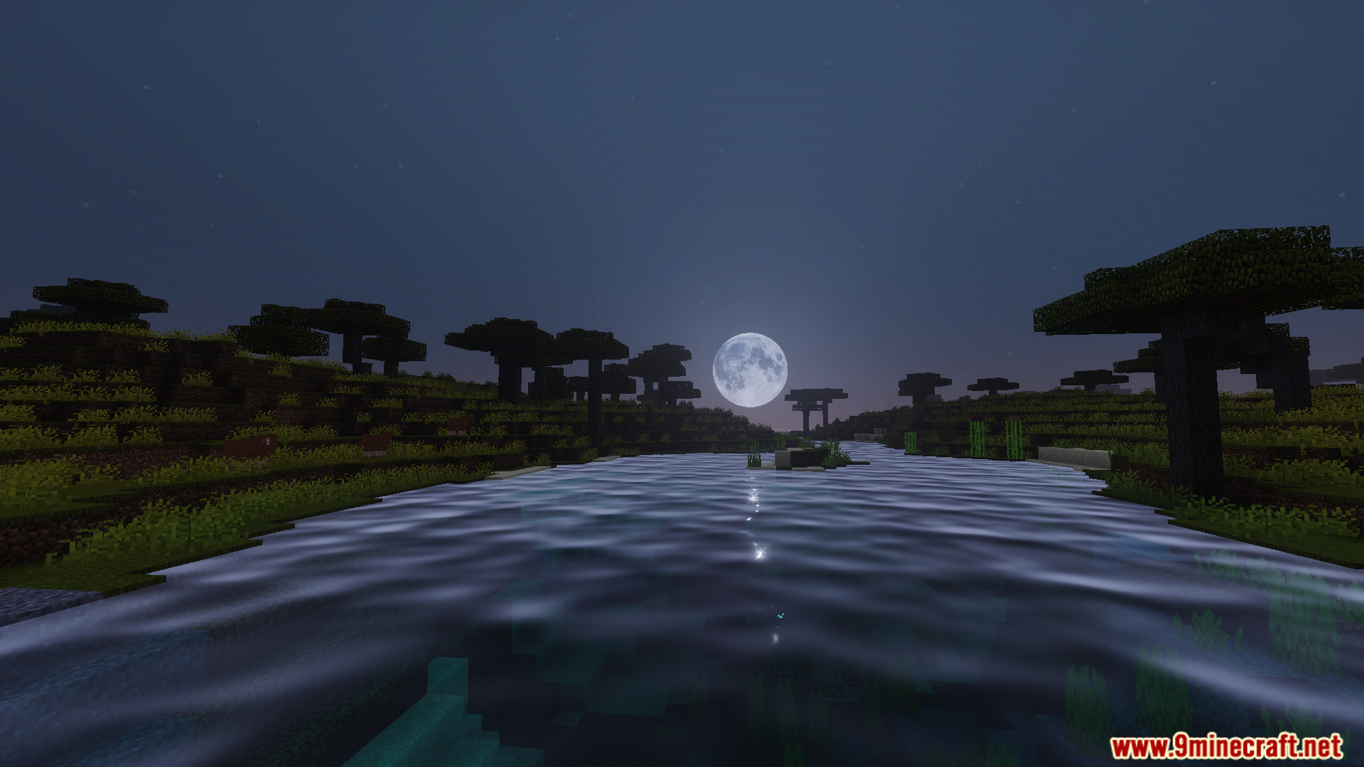 RG Visuals Shader Screenshot 3 RG Visuals Shader adds beautiful water reflections and realistic lighting at night