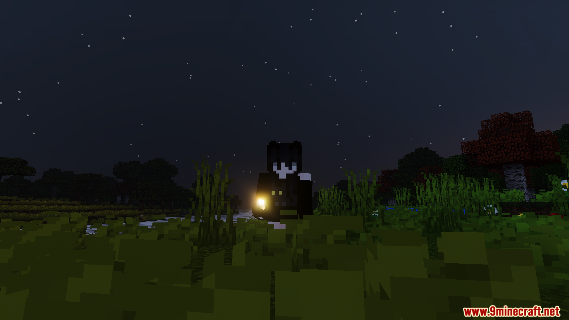 RG Visuals Shader Screenshot 5 Minecraft player holding a torch at night with realistic lighting and moving grass