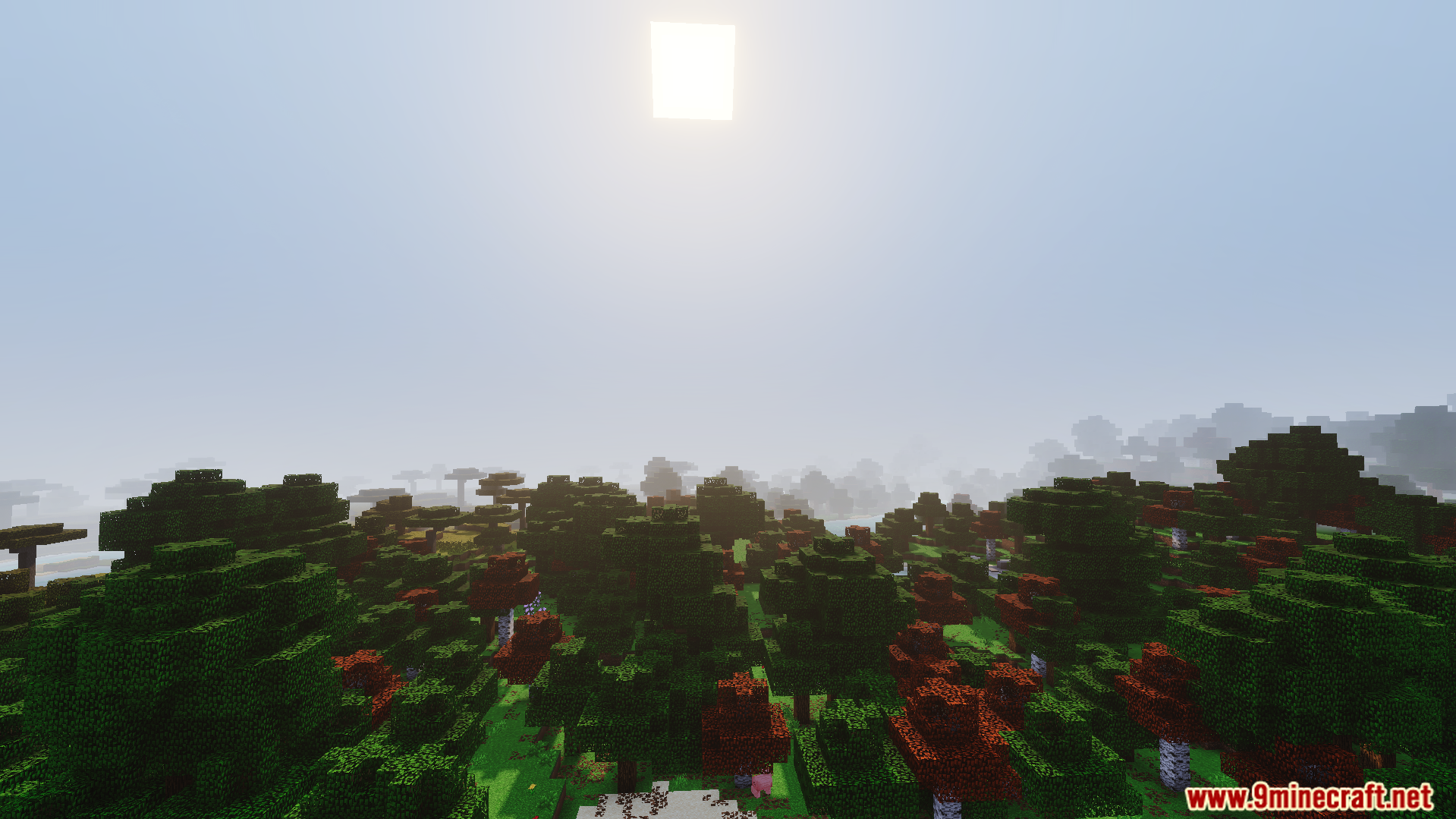 RG Visuals Shader Screenshot 9 Bright sun rays shine through forest trees with dynamic fog and soft shadows