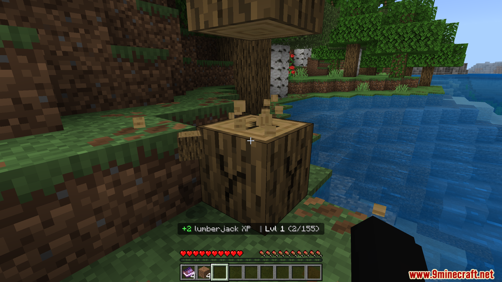 Player chopping wood to earn lumberjack experience points for the leveling system