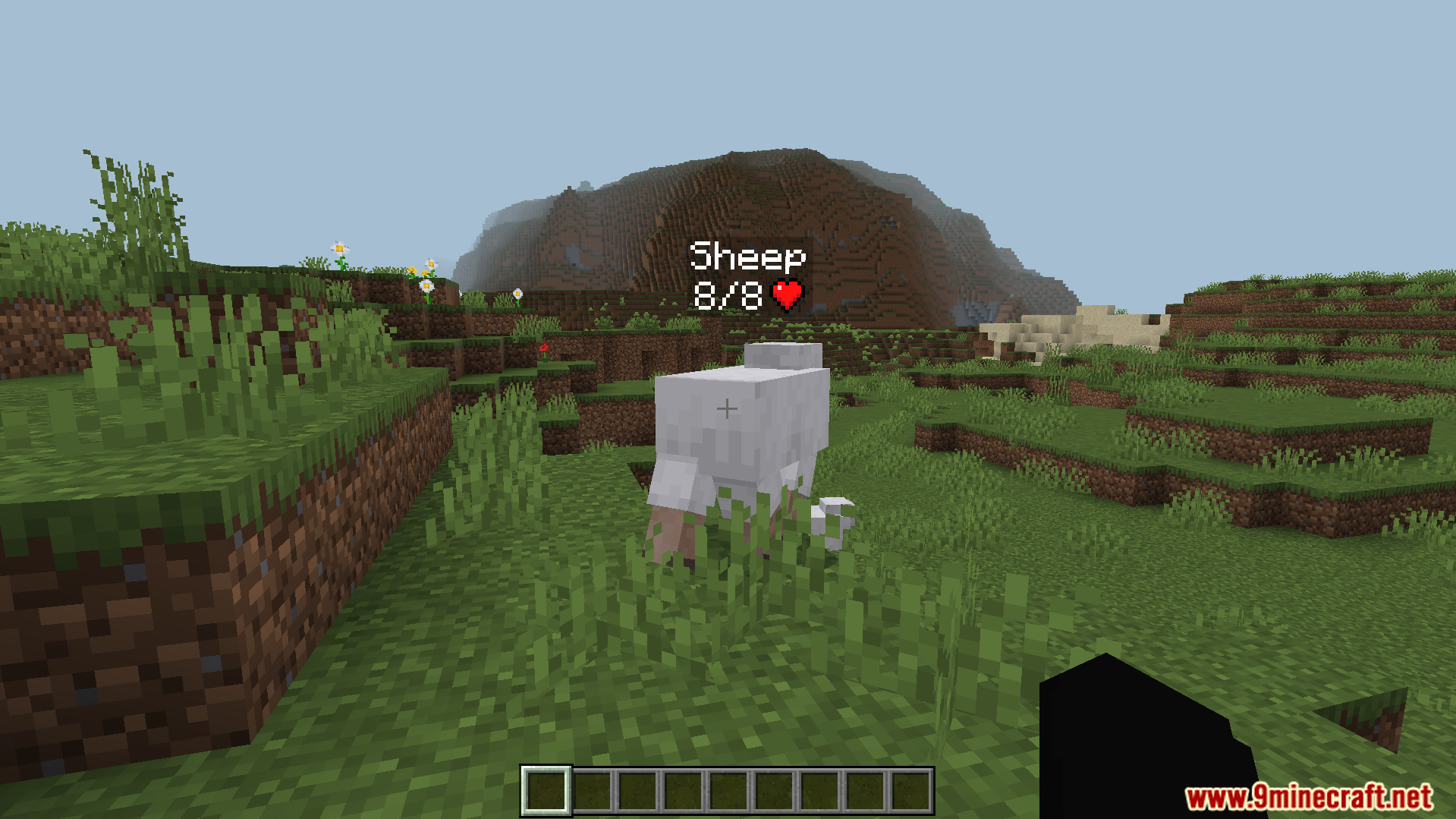 Simple Health Indicator Addon Screenshot 1 Simple Health Indicator Addon showing floating text bar above a white sheep