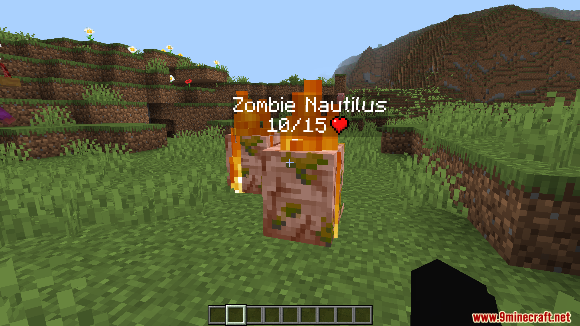Simple Health Indicator Addon Screenshot 5 Simple Health Indicator Addon showing health bar above a burning Zombie Nautilus mob