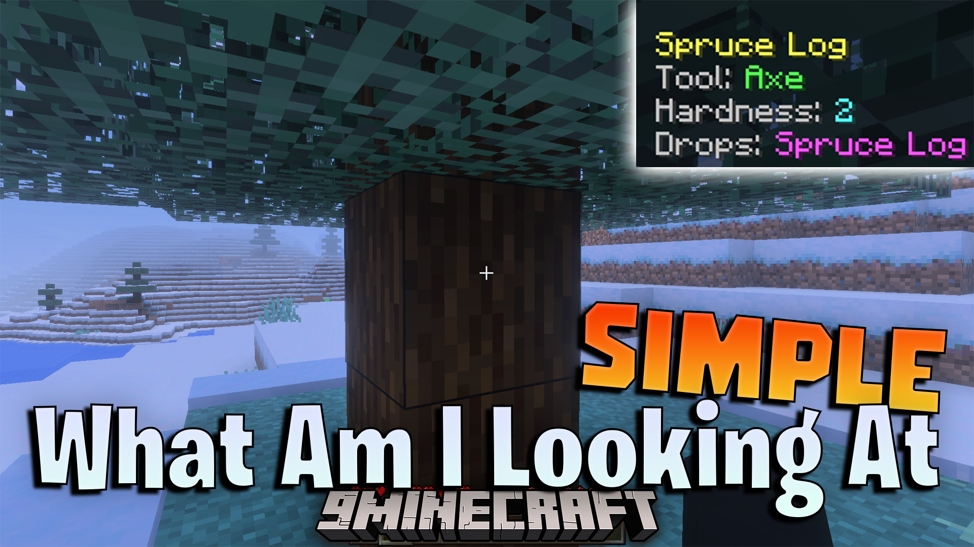 Simple What Am I Looking At Addon (26.x, 1.21) – View Block And Mob Details On Screen