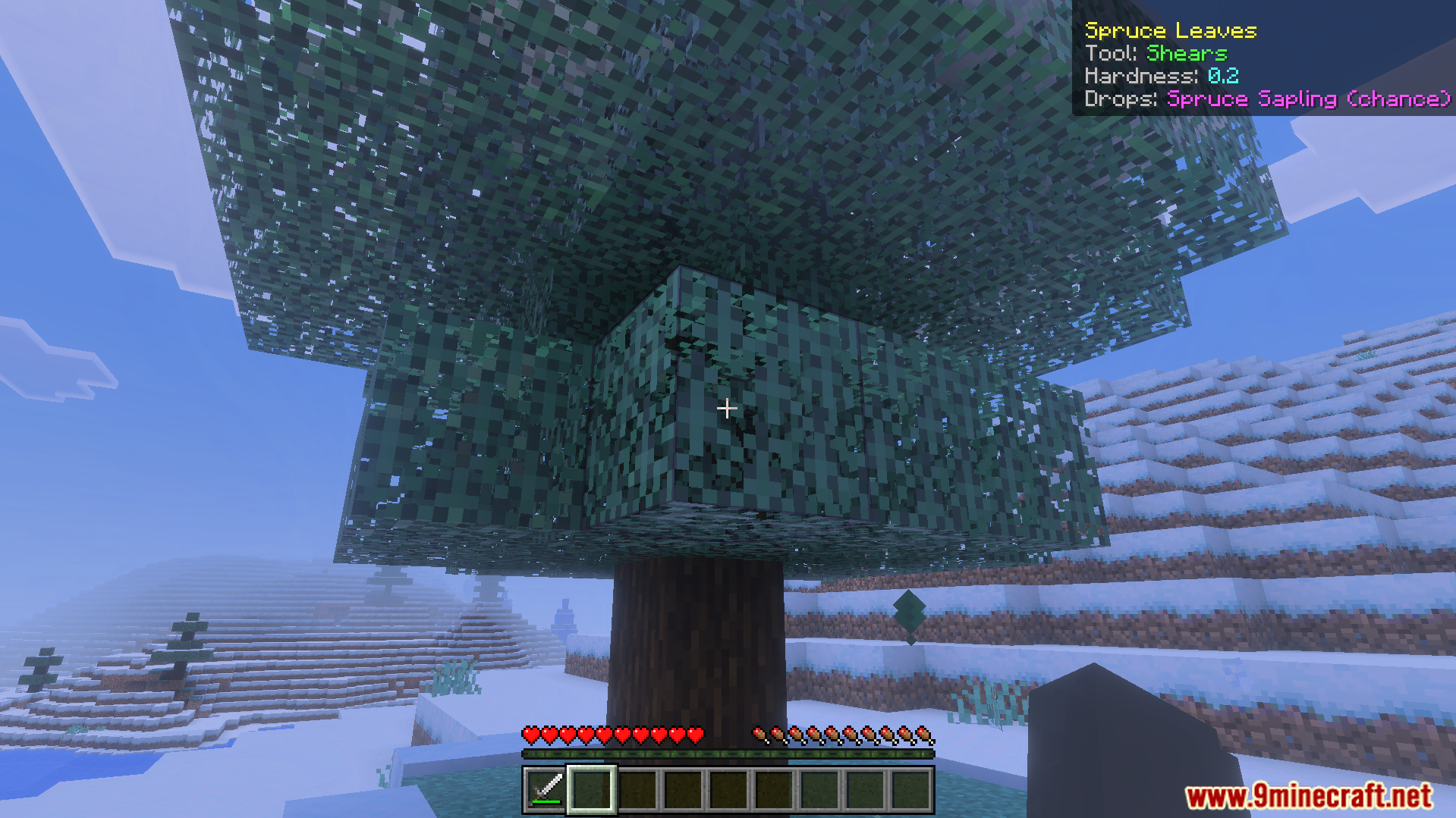 Simple What Am I Looking at Addon Screenshot 3 Simple What Am I Looking At Addon showing block details for spruce leaves