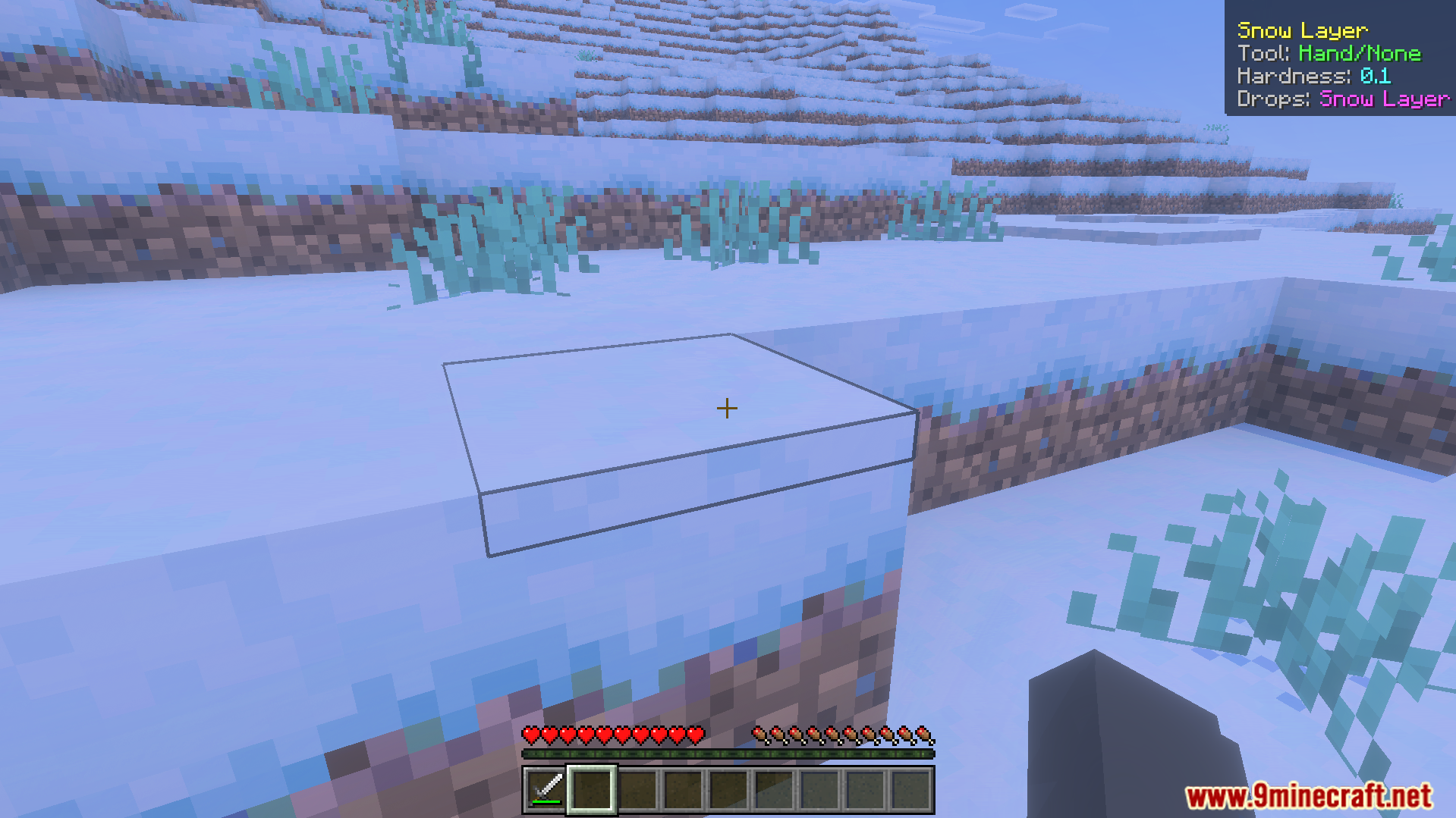 Simple What Am I Looking at Addon Screenshot 5 Simple What Am I Looking At Addon displaying information for a snow layer