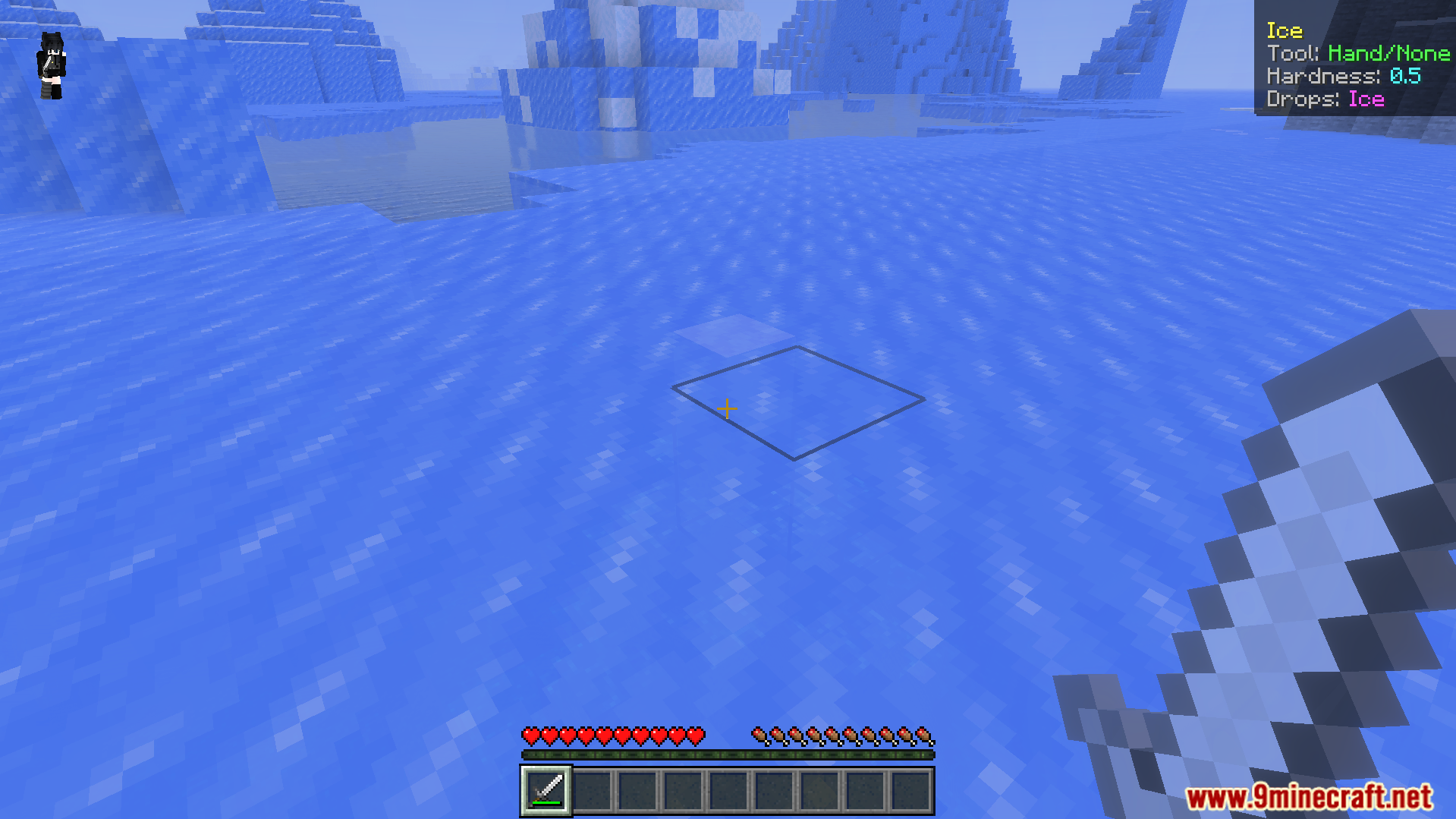 Simple What Am I Looking at Addon Screenshot 7 Simple What Am I Looking At Addon showing ice block details on screen