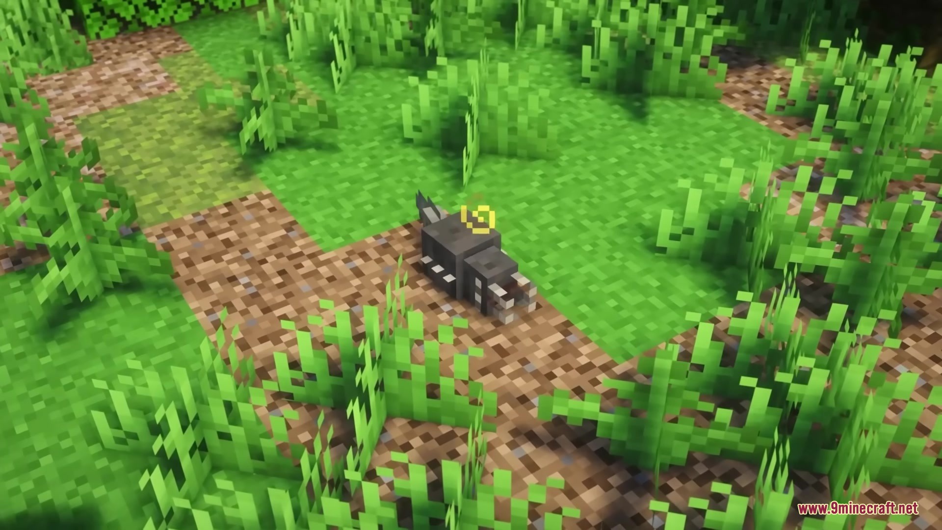 Skarrier Mobs Mod Screenshot 18 A small dark pillager beast stands on a dirt path in the forest