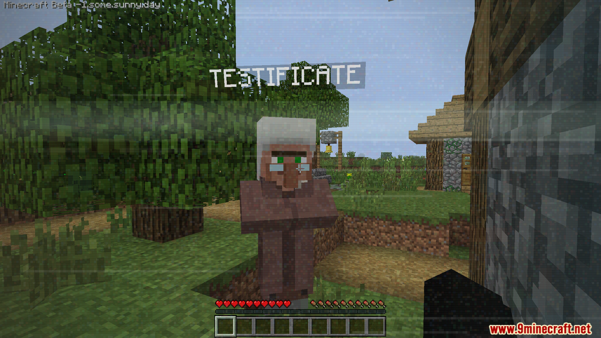 Some.sunny.day Addon Screenshot 2 Player looking at testificate villager while experiencing creepy visual static screen effects