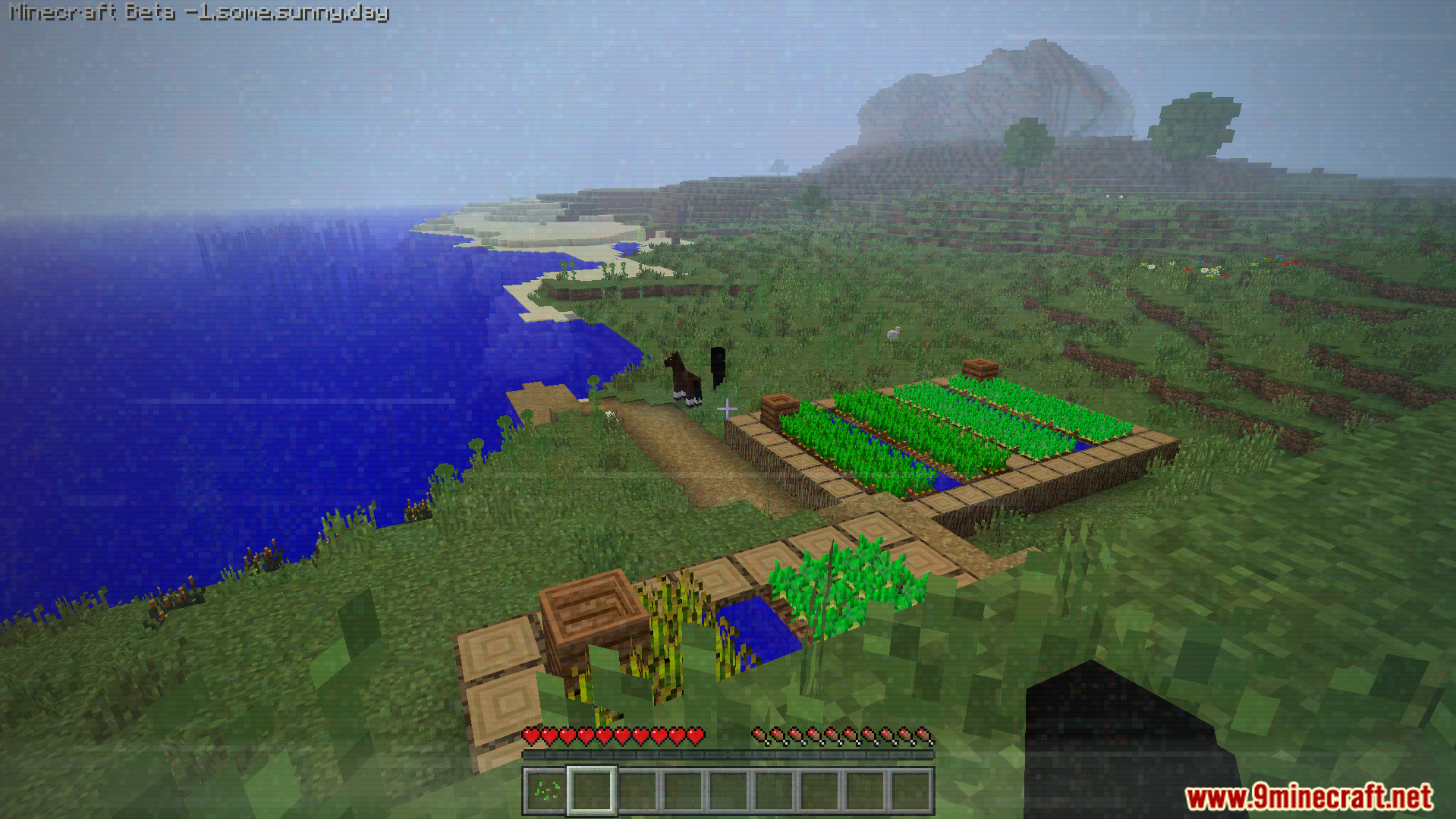 Some.sunny.day Addon Screenshot 6 Player looking at farm plots near ocean coast