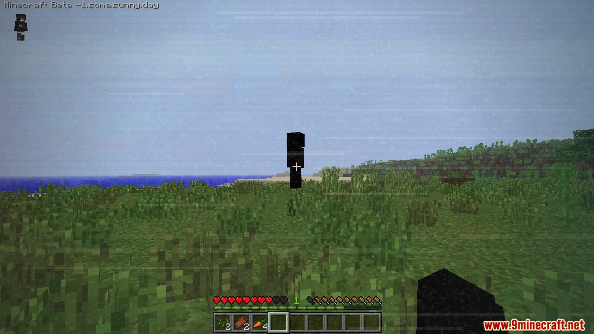 Some.sunny.day Addon Screenshot 10 Player holding a black block looking at a dark figure in a grassy field