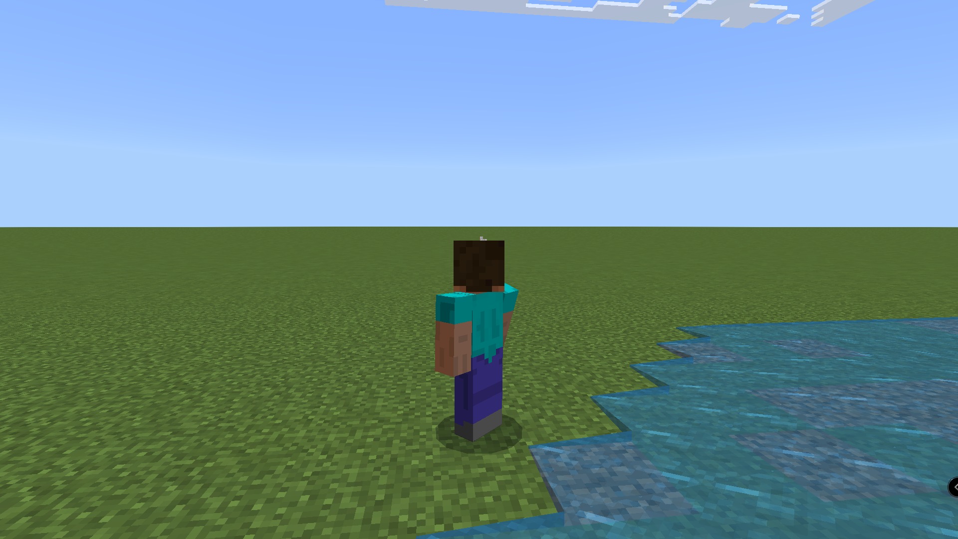 Minecraft character standing on a flat grass world next to a water puddle