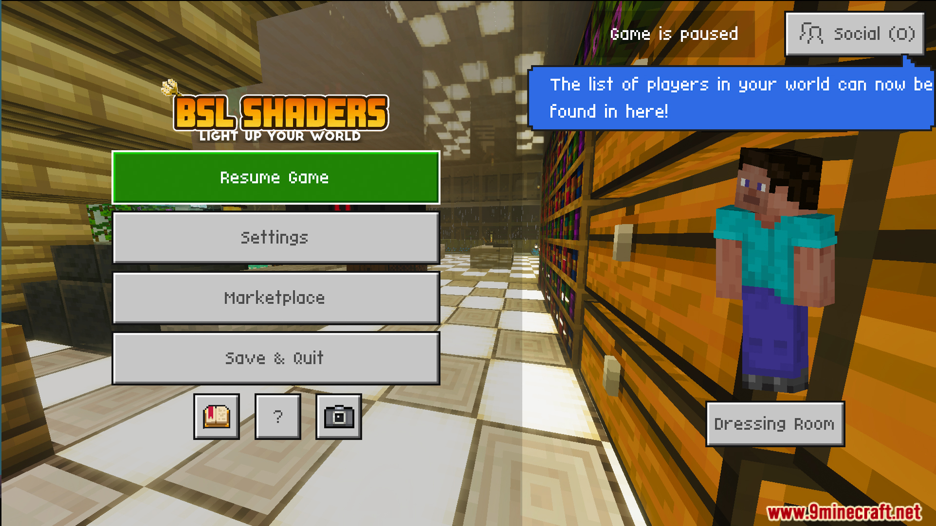 The game pause menu displays the player character standing beside a large bookshelf