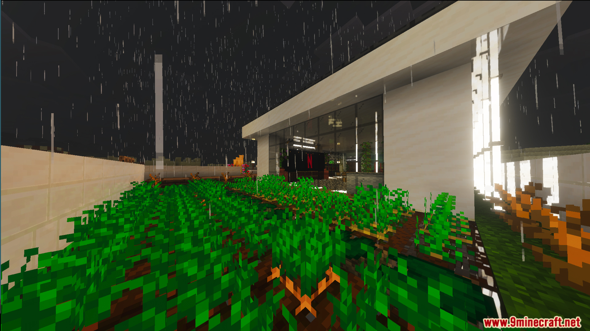 Lush garden with crops grows outside a building with large glass windows