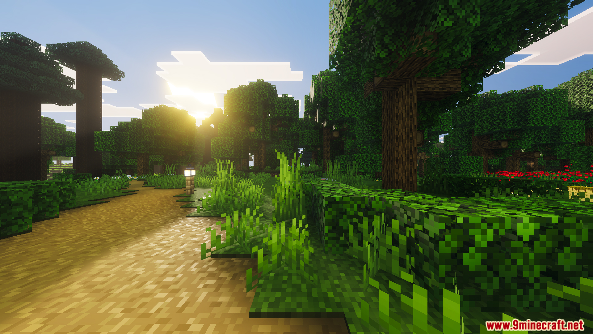 Tiny Takeover Farmstead Map Screenshot 12 Sunlight shines over a dirt path through a lively green landscape with trees