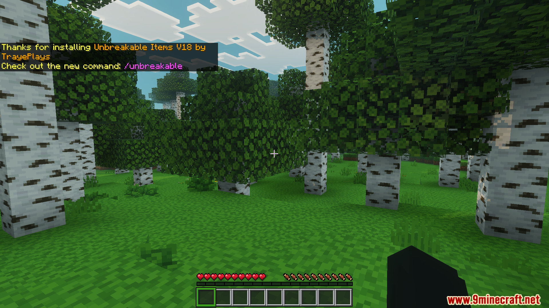 In game chat message confirming the installation of the addon