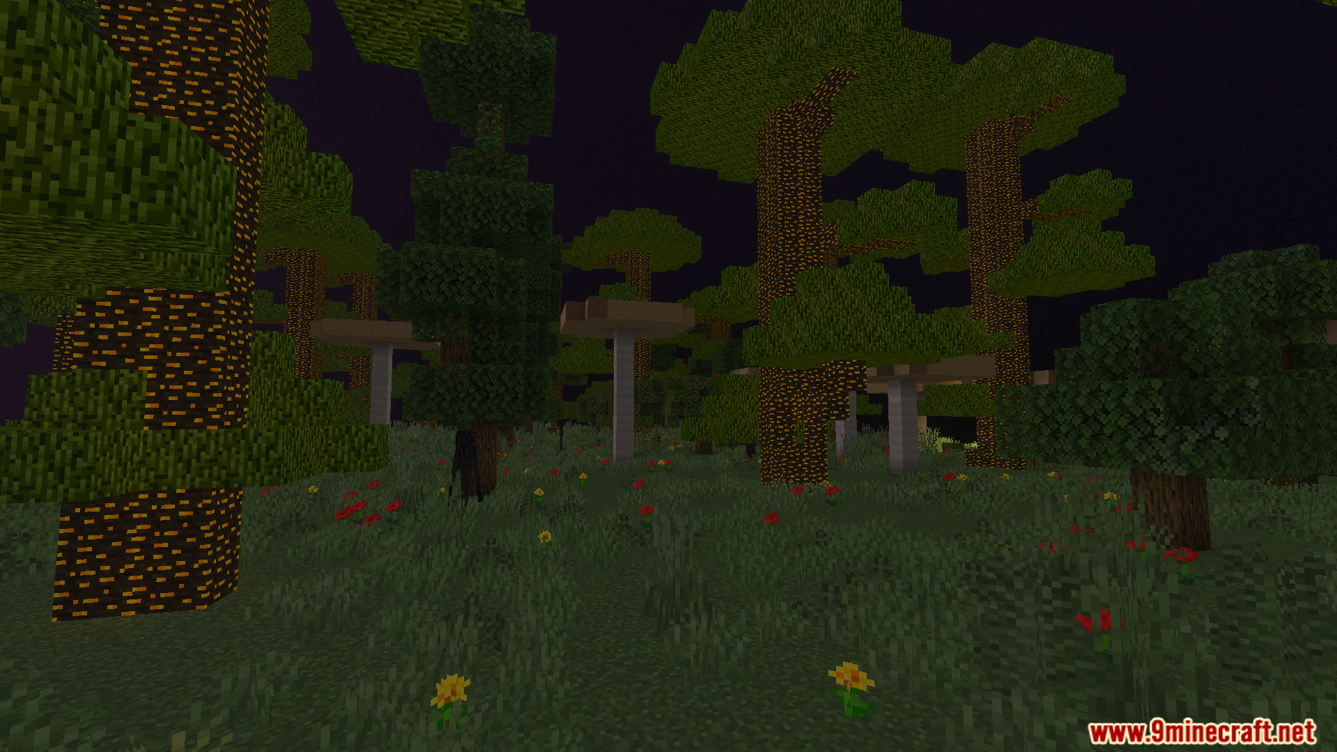 Exploring a dark forest biome with unique trees and mushrooms under night sky