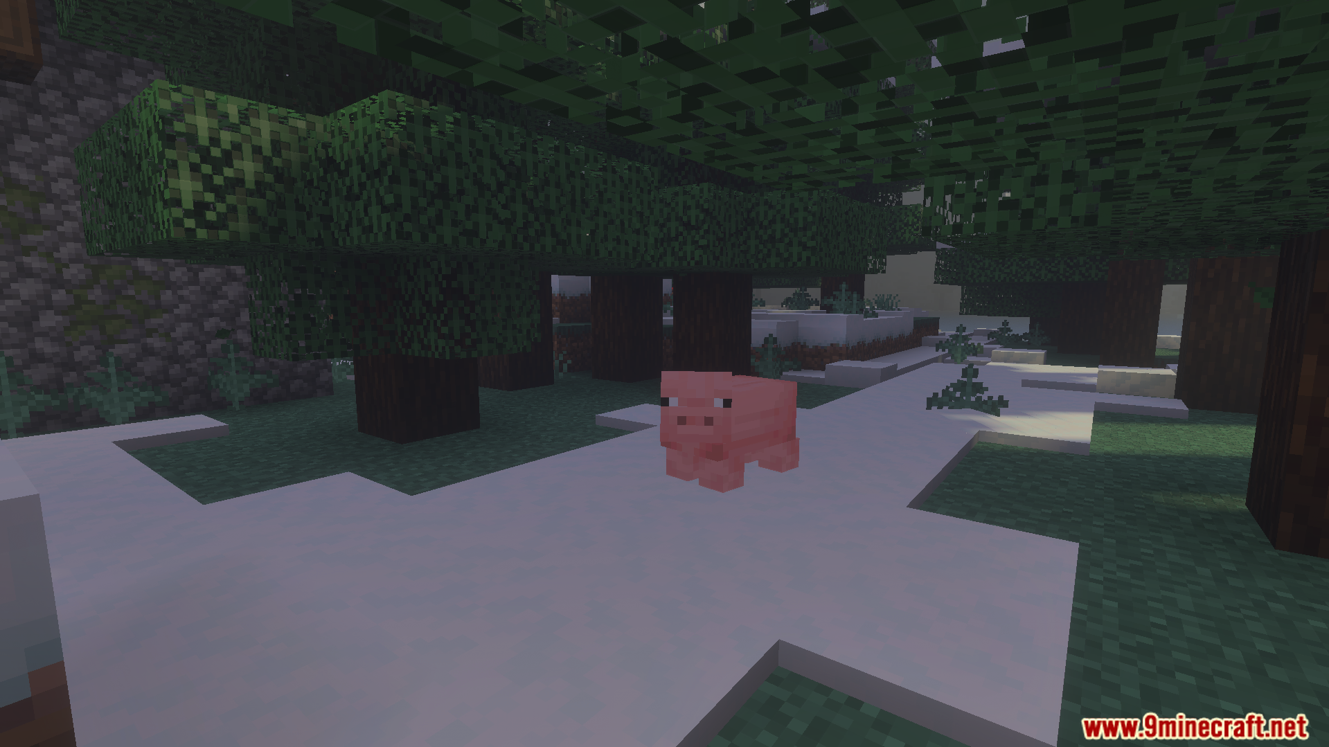 Pig standing under green trees in a more colorful forest biome