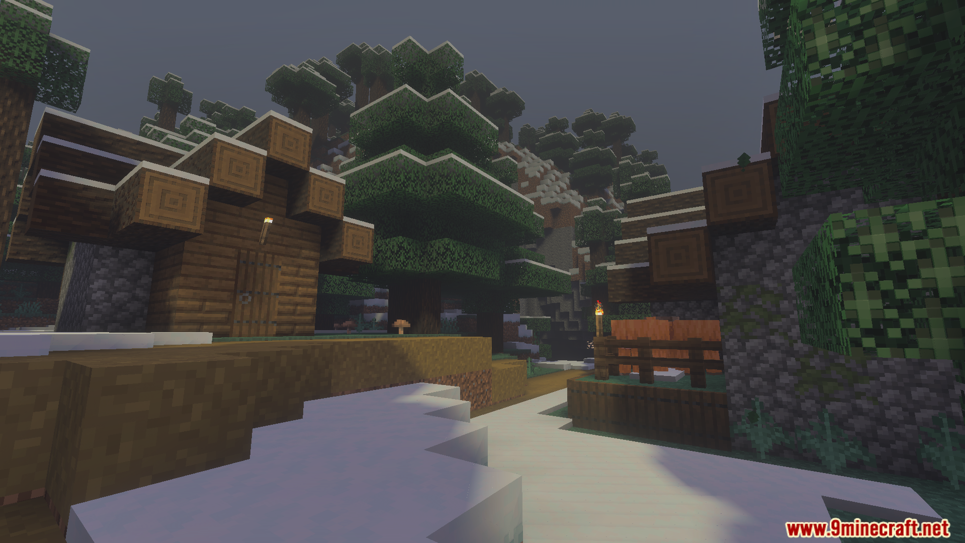 Snowy village with wooden houses and pine trees