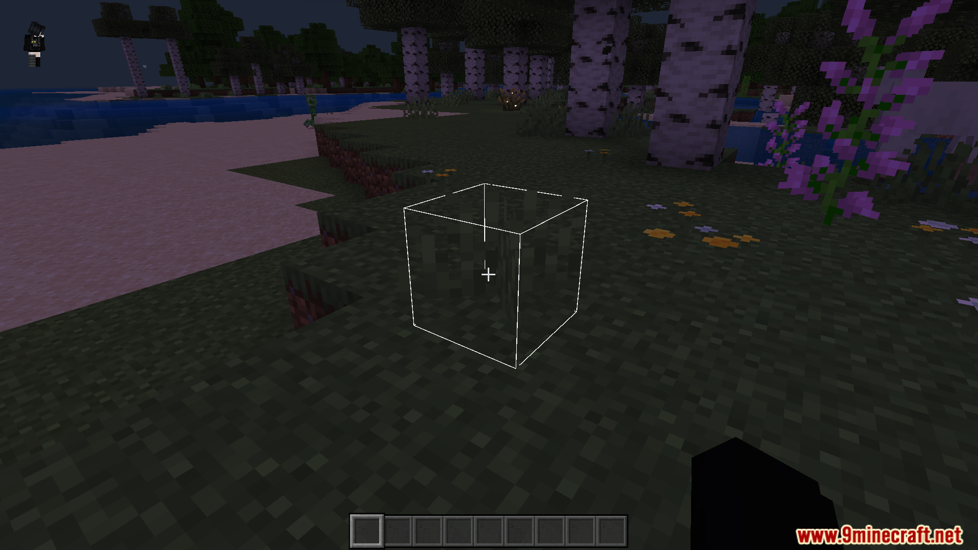White 3D Outline Texture Pack Screenshot 2 A grass block highlighted with a white glowing outline near the water