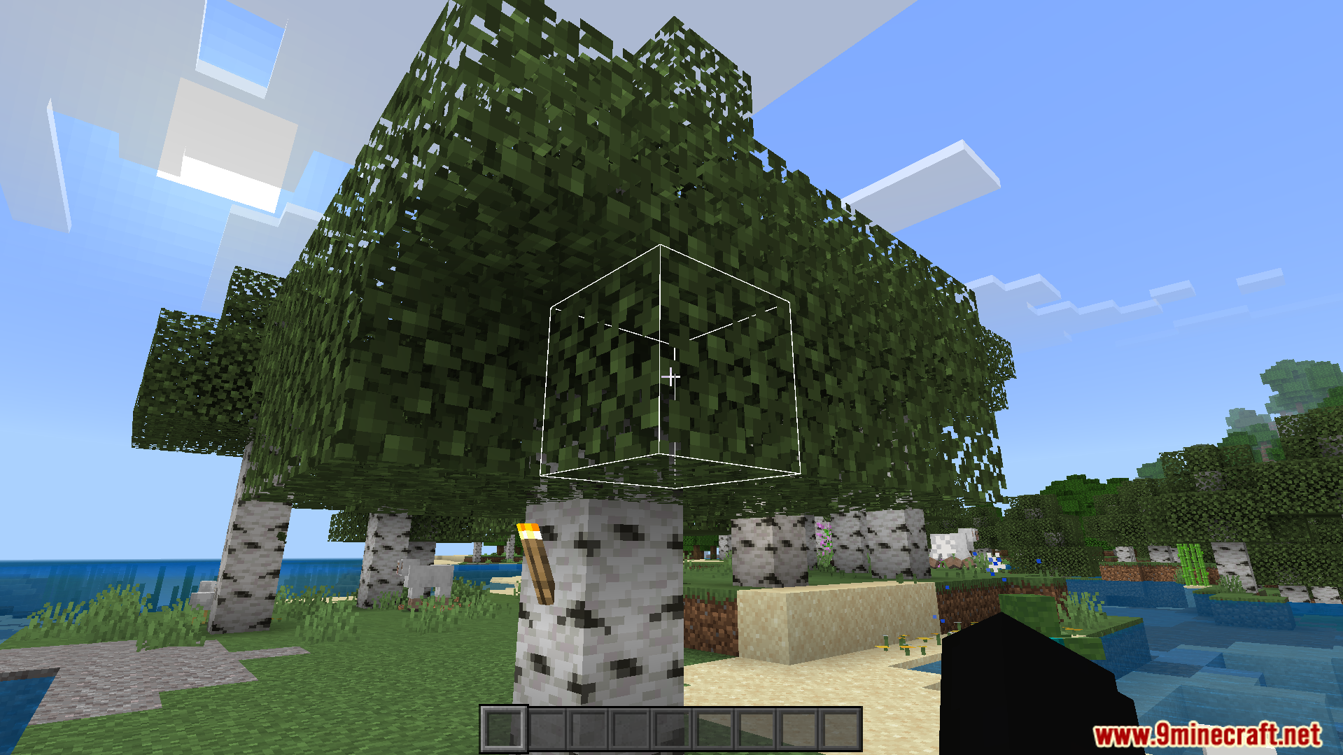 White 3D Outline Texture Pack Screenshot 6 A leaf block highlighted with a white outline under a birch tree