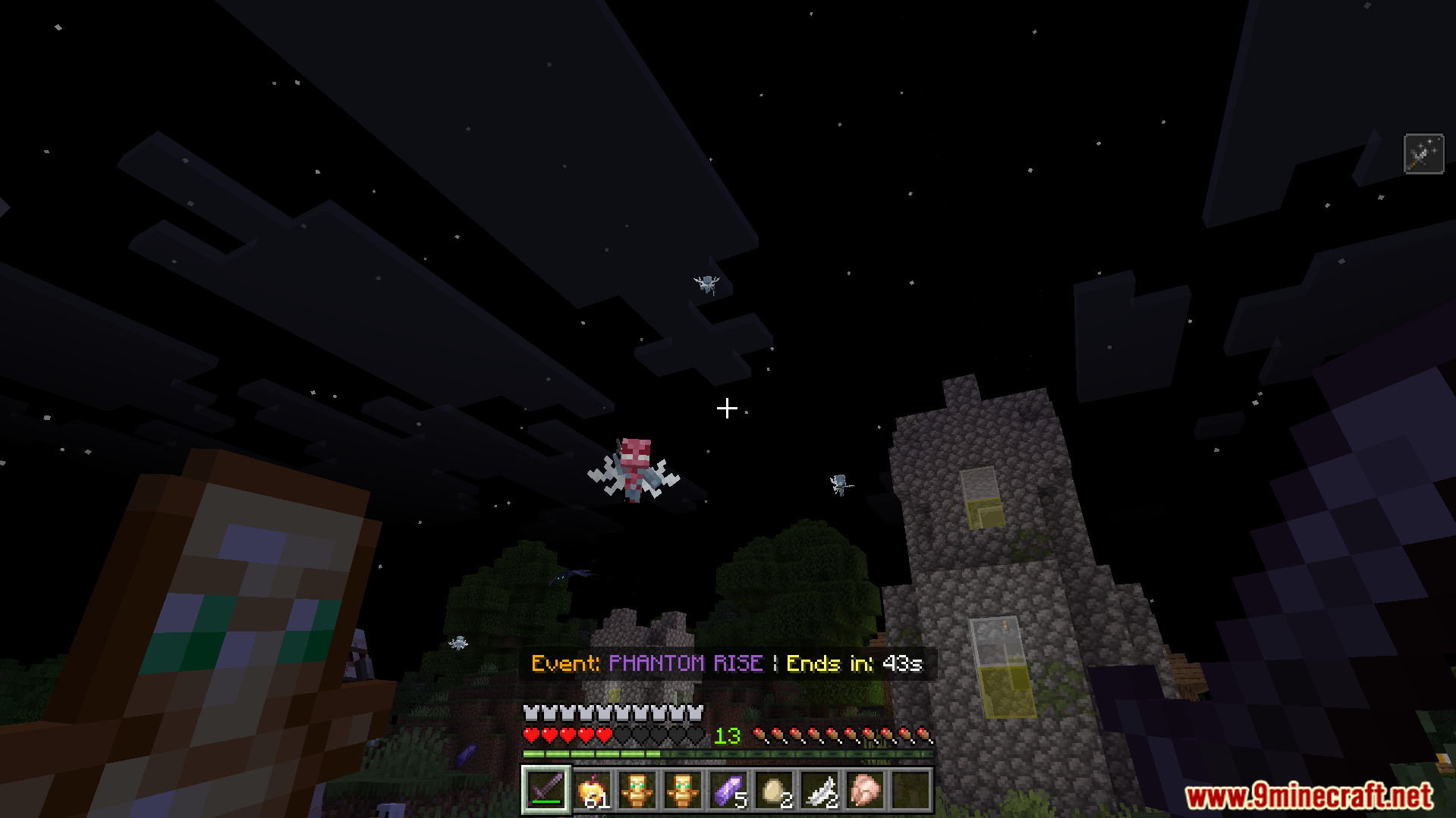 World Shift Dynamic Events Addon Screenshot 13 A player holding a totem of undying during a phantom rise event